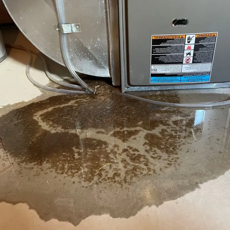 Pipe Burst and Leak Restoration in McDonald County, MO